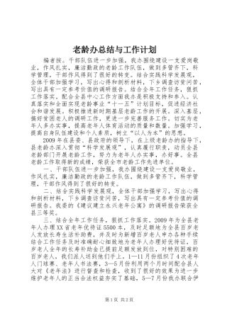 老龄办总结与工作计划
