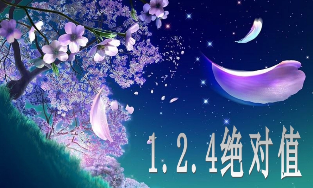 （课件4）12有理数