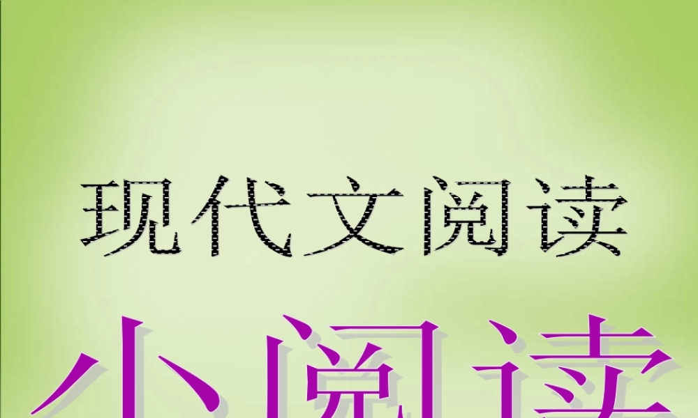 云南省保山一中高考语文一轮复习小阅读课件