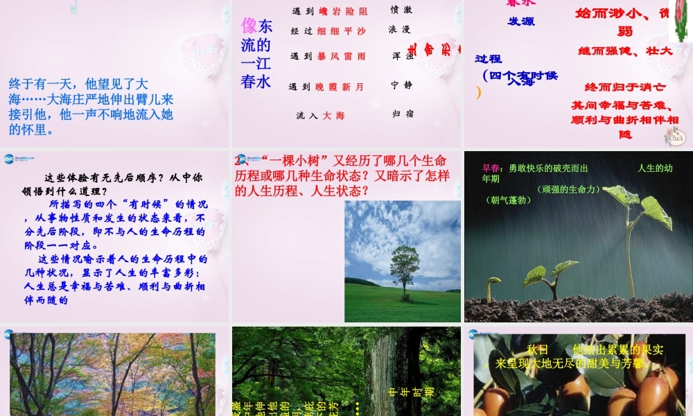 九年级语文下册 9 谈生命课件 新人教版 课件