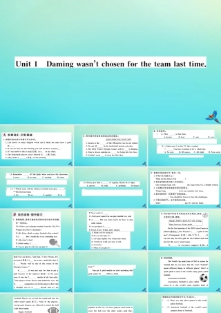九年级英语上册 Module 8 Sports life Unit 1 Daming wasn t chosen for the team last time习题课件 (新版)外研版 课件