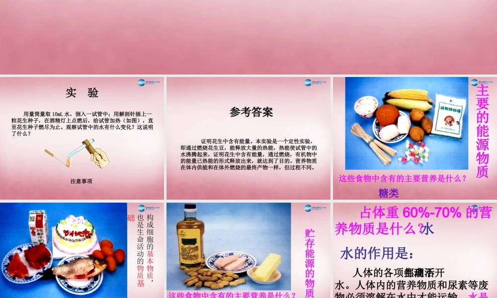 中学七年级生物下册 第一章 第三节 营养物质的吸收及利用(第二课时)课件 冀教版 课件