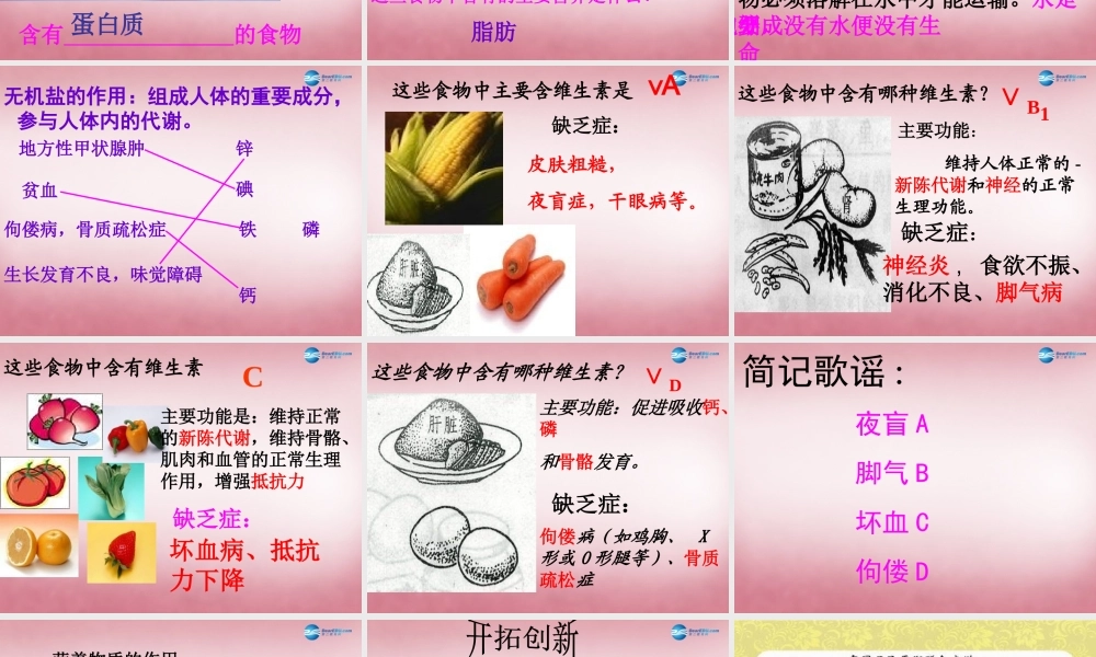 中学七年级生物下册 第一章 第三节 营养物质的吸收及利用(第二课时)课件 冀教版 课件