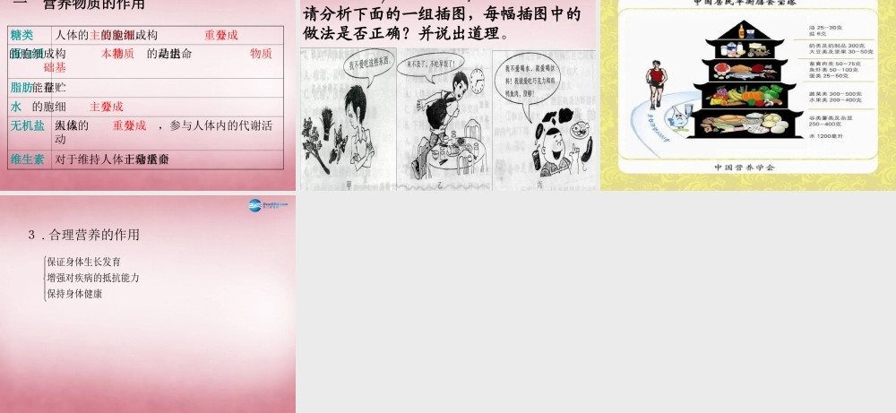 中学七年级生物下册 第一章 第三节 营养物质的吸收及利用(第二课时)课件 冀教版 课件