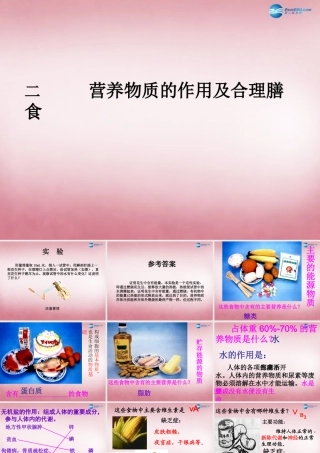 中学七年级生物下册 第一章 第三节 营养物质的吸收及利用(第二课时)课件 冀教版 课件