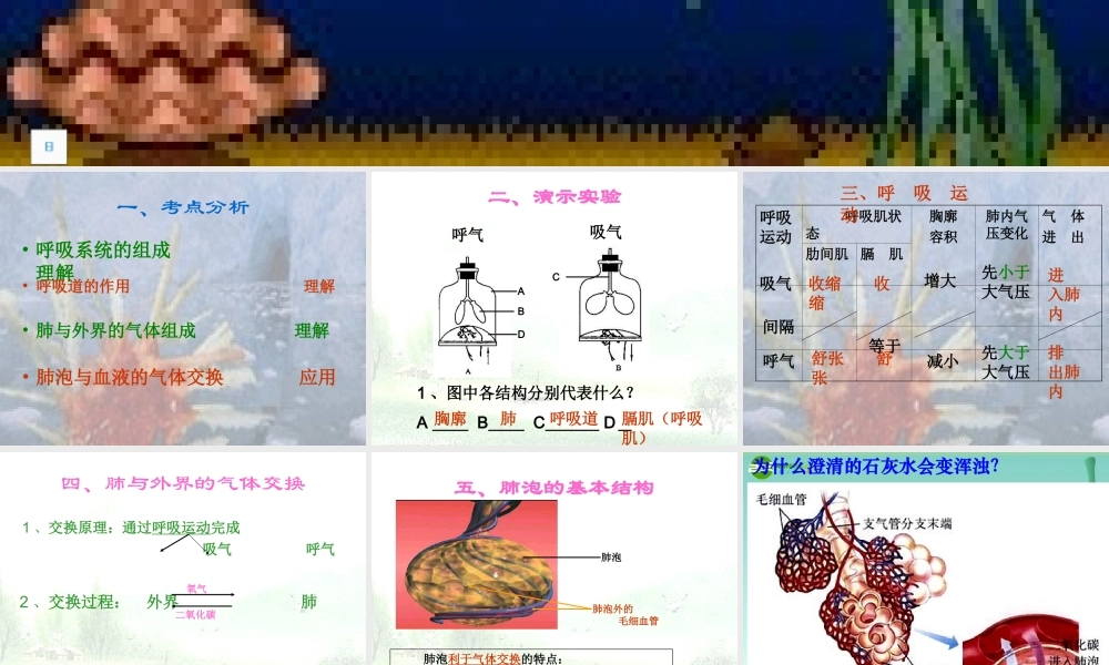 七年级生物下册 第四单元第三章第二节发生在肺内的气体交换6课件 人教新课标版 课件