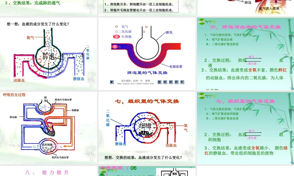 七年级生物下册 第四单元第三章第二节发生在肺内的气体交换6课件 人教新课标版 课件