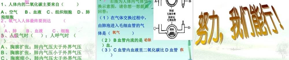 七年级生物下册 第四单元第三章第二节发生在肺内的气体交换6课件 人教新课标版 课件
