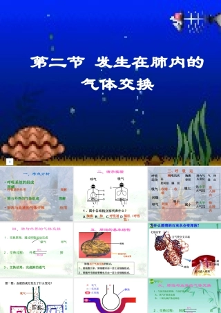七年级生物下册 第四单元第三章第二节发生在肺内的气体交换6课件 人教新课标版 课件