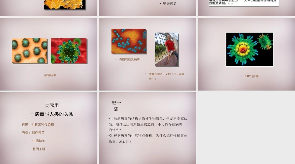 八年级生物上册 第五单元 第一章 第2节(病毒)演示型课件 (新版)冀教版 课件