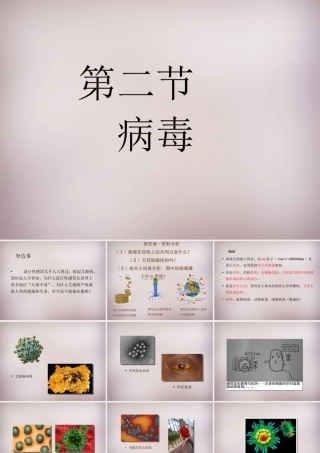 八年级生物上册 第五单元 第一章 第2节(病毒)演示型课件 (新版)冀教版 课件