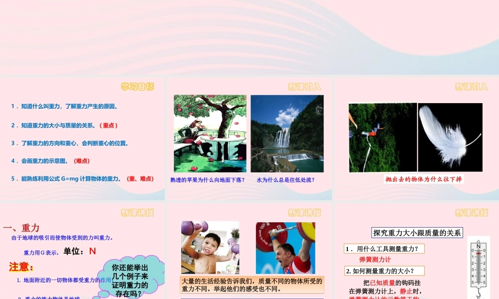 八年级物理下册 7.3 重力课件 (新版)新人教版 课件