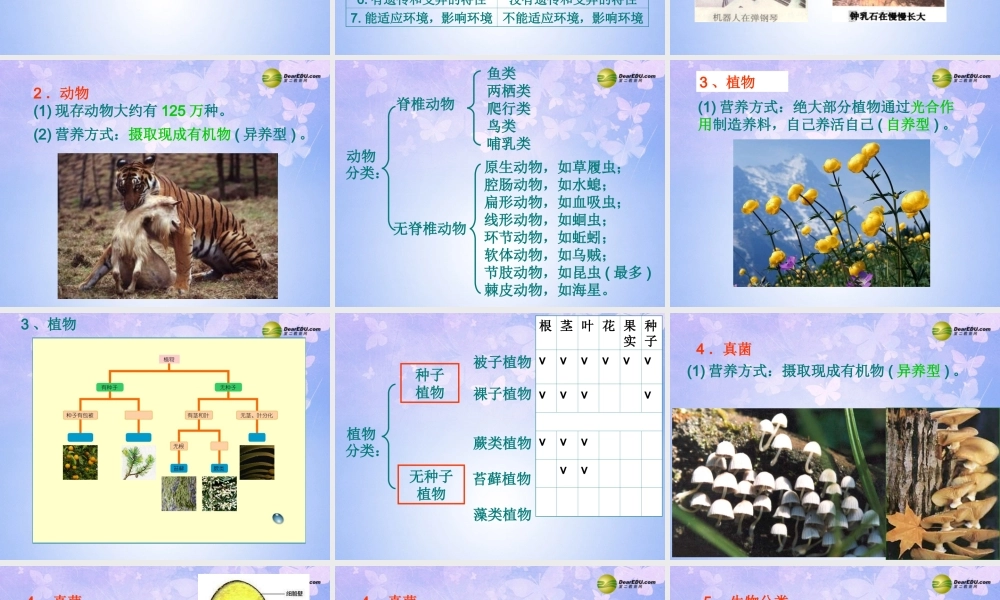 八年级生物上册 各种各样的生物课件 新人教版 课件