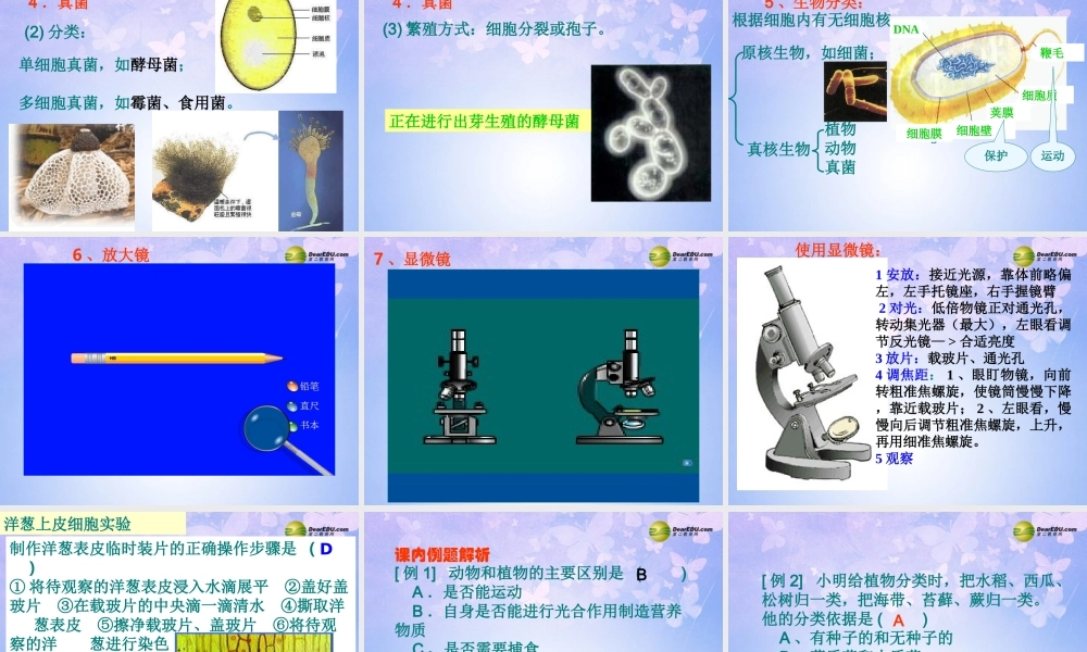 八年级生物上册 各种各样的生物课件 新人教版 课件