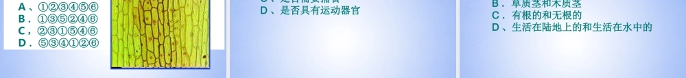 八年级生物上册 各种各样的生物课件 新人教版 课件