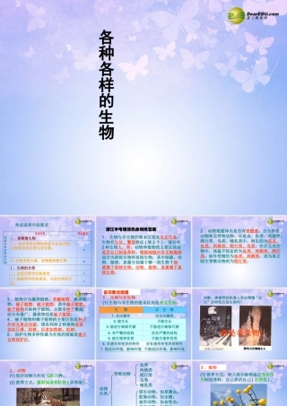八年级生物上册 各种各样的生物课件 新人教版 课件