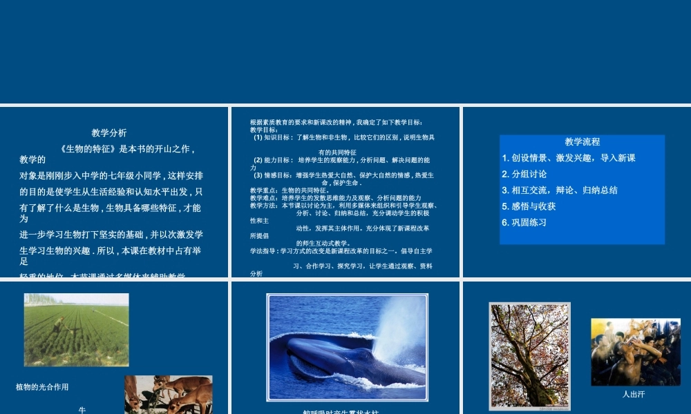 七年级生物上册 生物的特征课件 人教新课标版版 课件