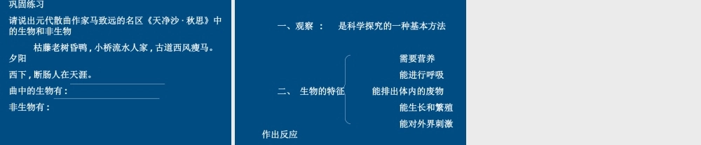 七年级生物上册 生物的特征课件 人教新课标版版 课件
