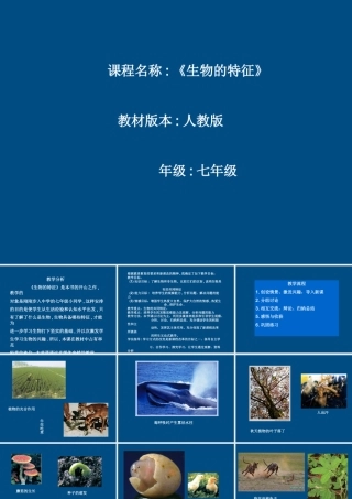 七年级生物上册 生物的特征课件 人教新课标版版 课件