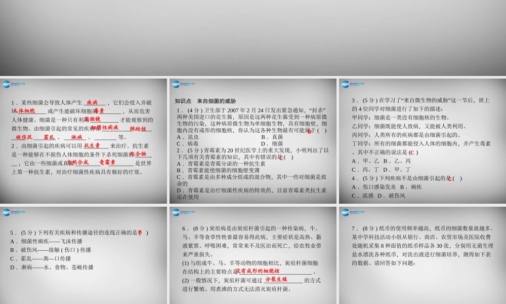 九年级科学下册 321 来自细菌的威胁习题课件 浙教版 课件