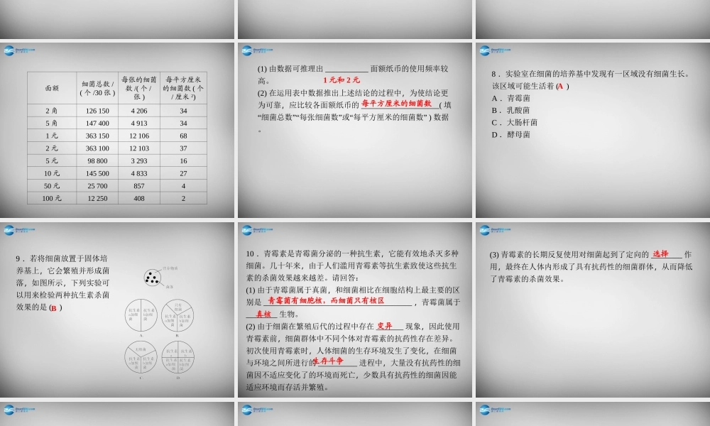 九年级科学下册 321 来自细菌的威胁习题课件 浙教版 课件