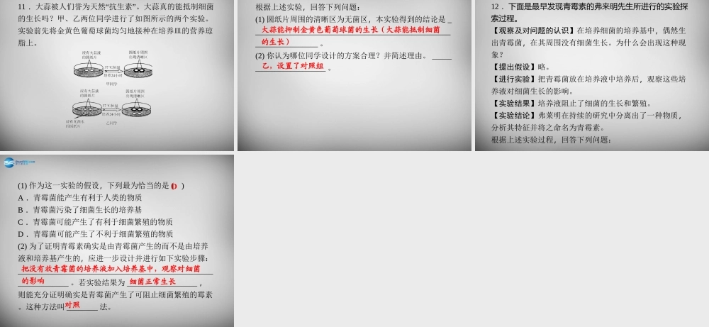 九年级科学下册 321 来自细菌的威胁习题课件 浙教版 课件