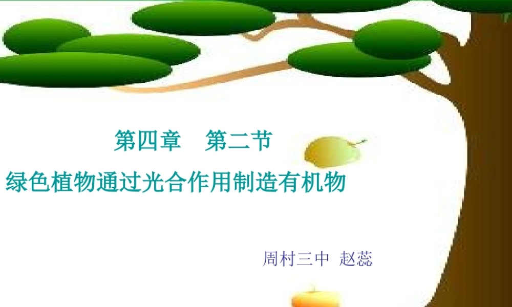 绿色植物通过光合作用制造有机物3