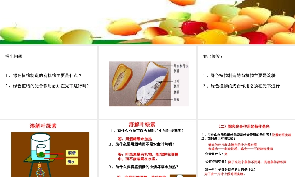 绿色植物通过光合作用制造有机物3