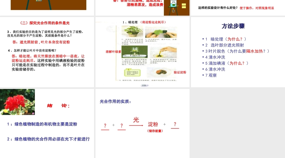 绿色植物通过光合作用制造有机物3
