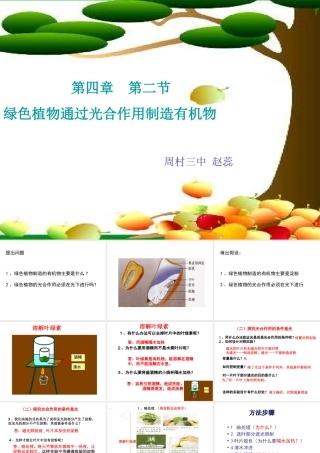 绿色植物通过光合作用制造有机物3