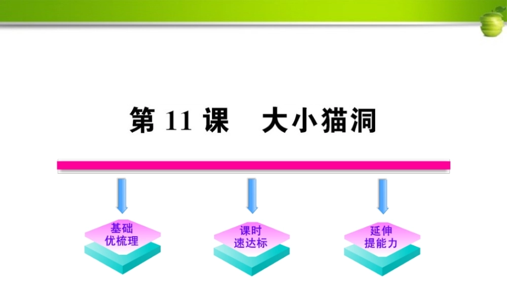 九年级语文上册 第11课 大小猫洞配套课件 语文版 课件