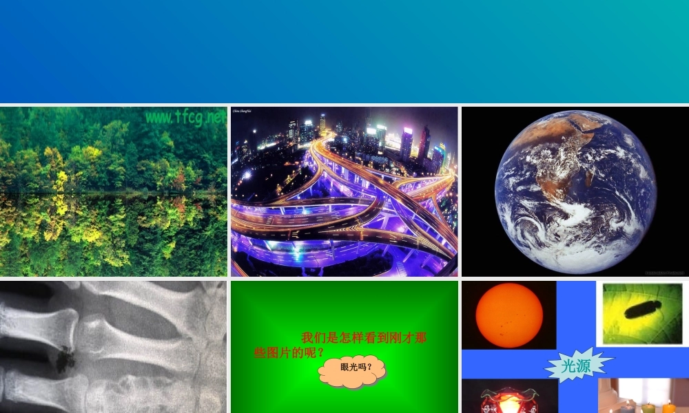 九年级物理质量与密度课件