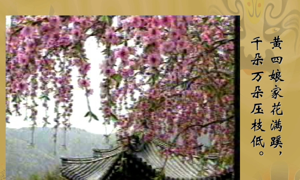 七年级语文夏课件1 苏教版 课件