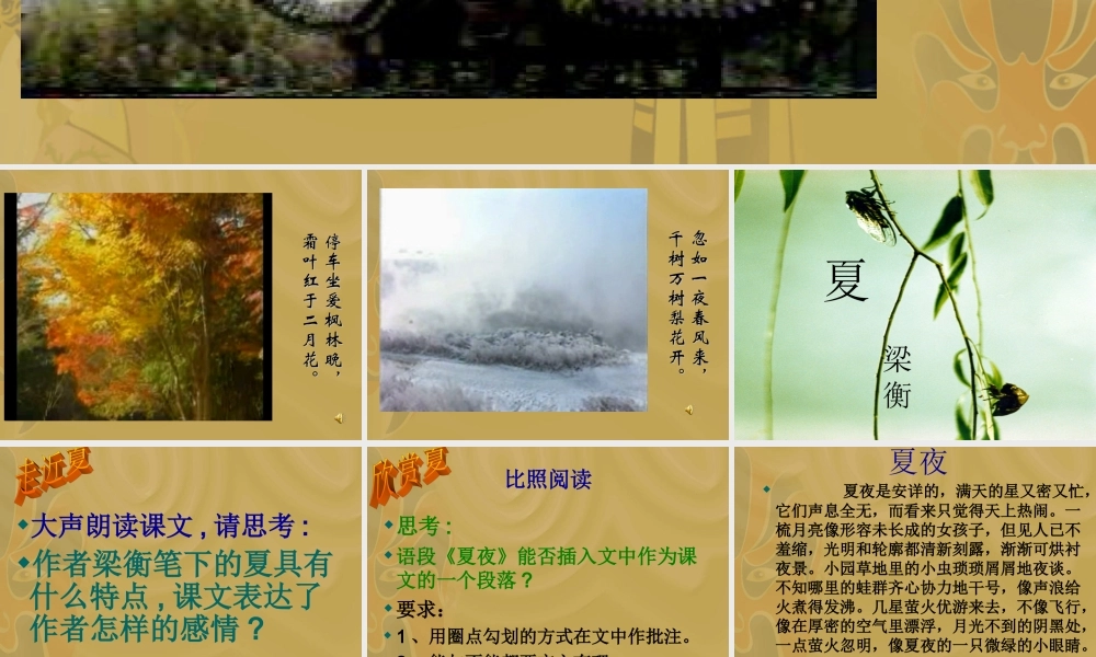 七年级语文夏课件1 苏教版 课件