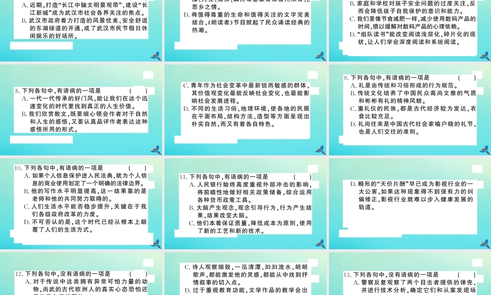 九年级语文上册 专题二 语病的辨析作业课件 新人教版 课件