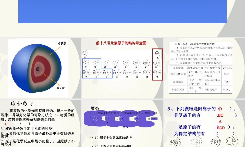 初中化学(离子)课件