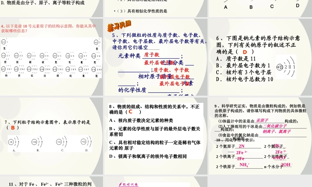 初中化学(离子)课件