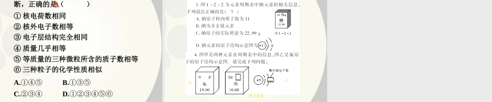初中化学(离子)课件
