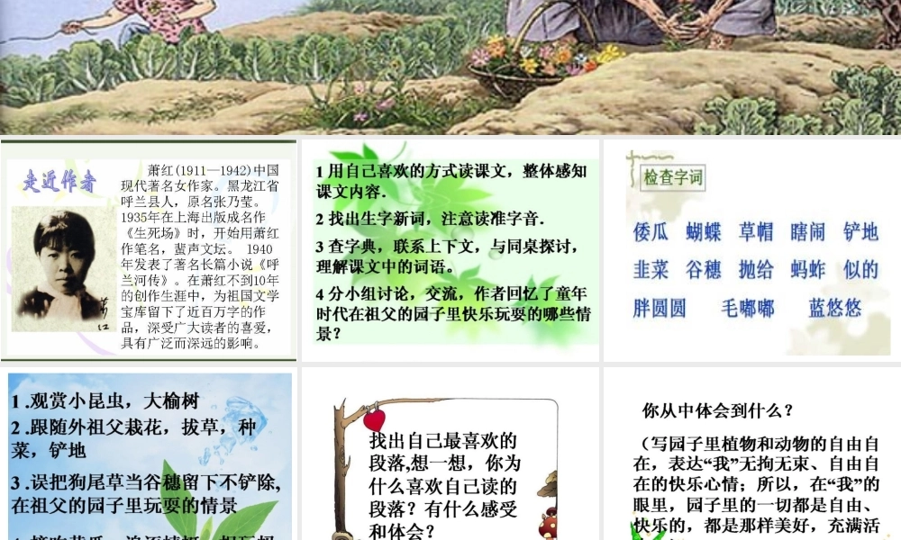 祖父的园子课件 (3)