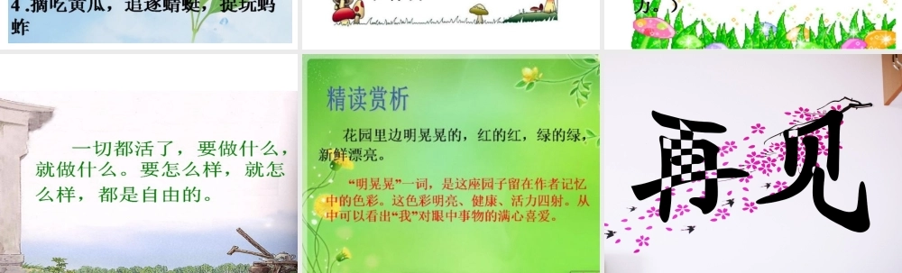 祖父的园子课件 (3)