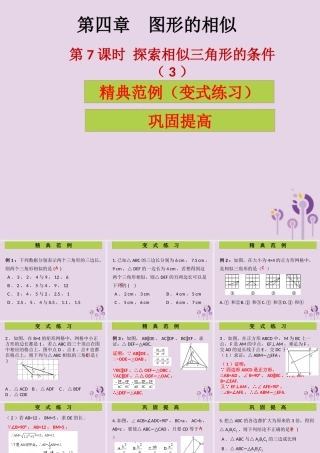 九年级数学上册 第4章 图形的相似 第7课时 探索三角形相似的条件(3)(课堂导练)习题课件 (新版)北师大版 课件