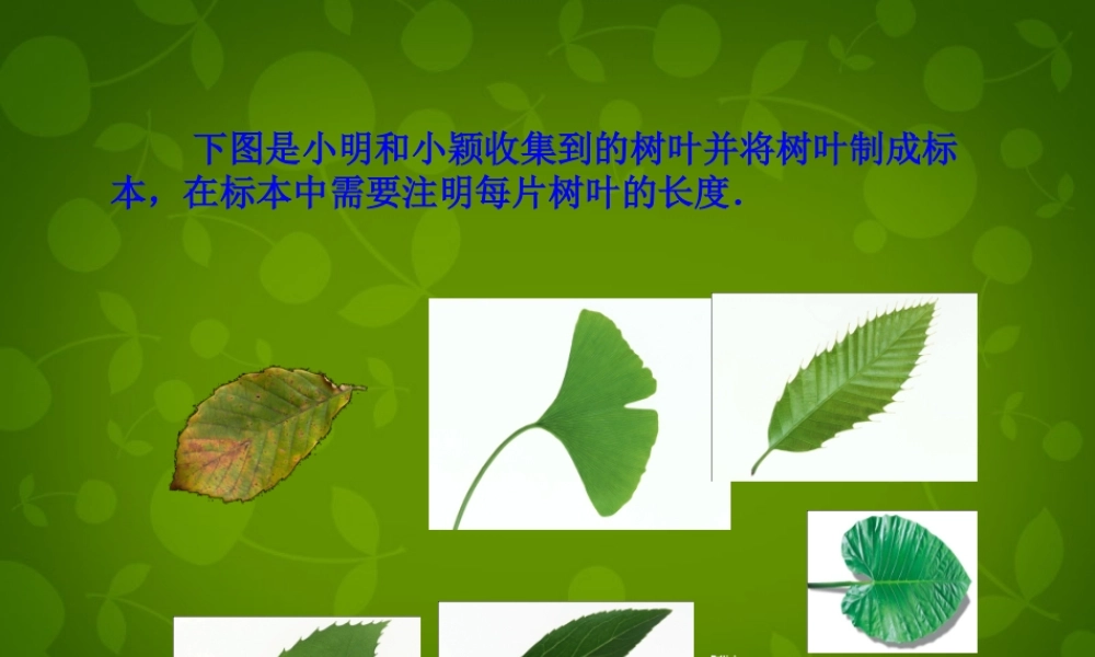 天津市梅江中学七年级数学上册 1.5.3 近似数课件 (新版)新人教版