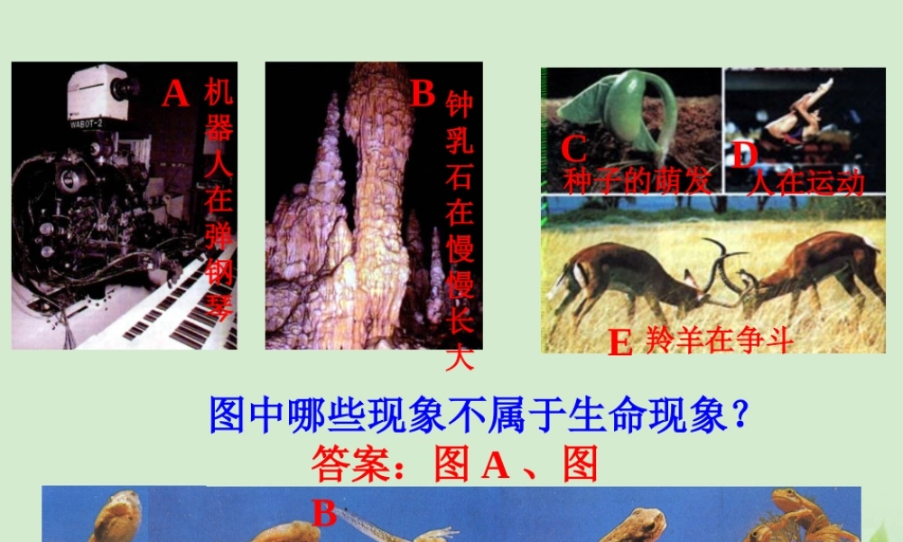 七年级生物上册(生物生存的环境)课件 苏教版 课件