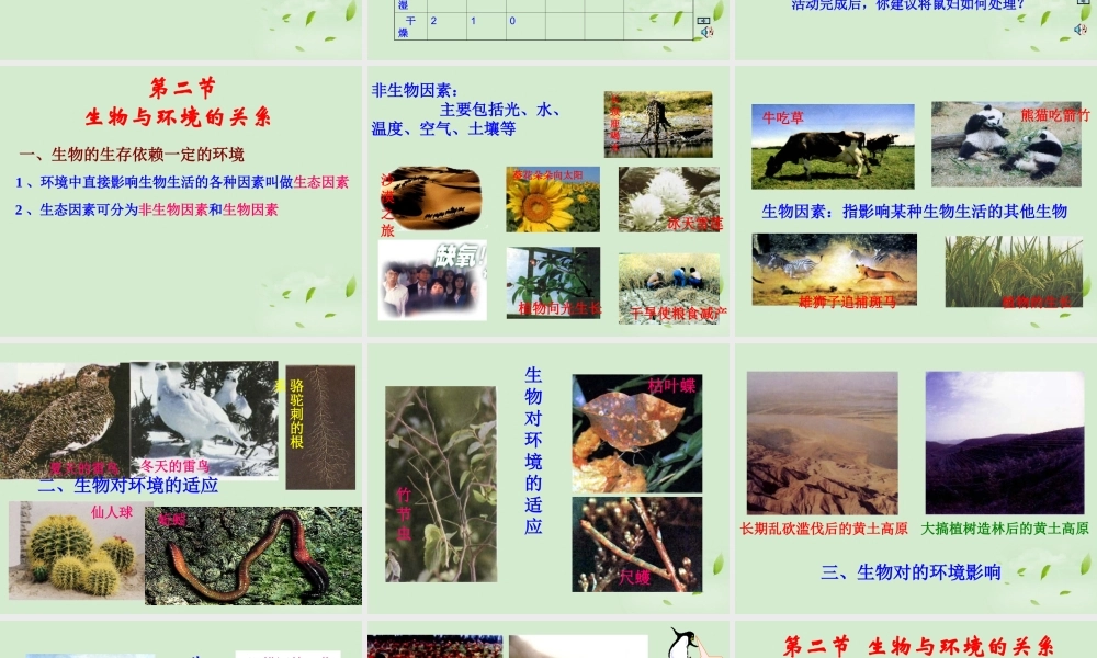 七年级生物上册(生物生存的环境)课件 苏教版 课件