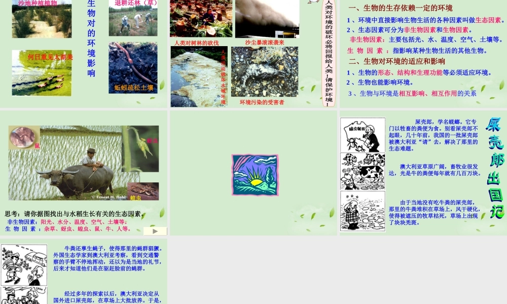 七年级生物上册(生物生存的环境)课件 苏教版 课件