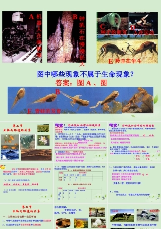 七年级生物上册(生物生存的环境)课件 苏教版 课件
