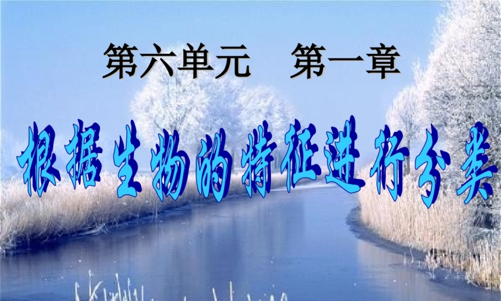 八年级生物尝试对生物分类新人教版 教案