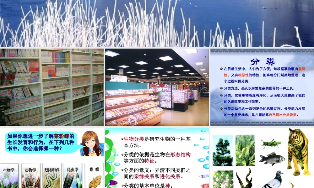 八年级生物尝试对生物分类新人教版 教案