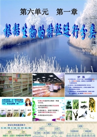 八年级生物尝试对生物分类新人教版 教案