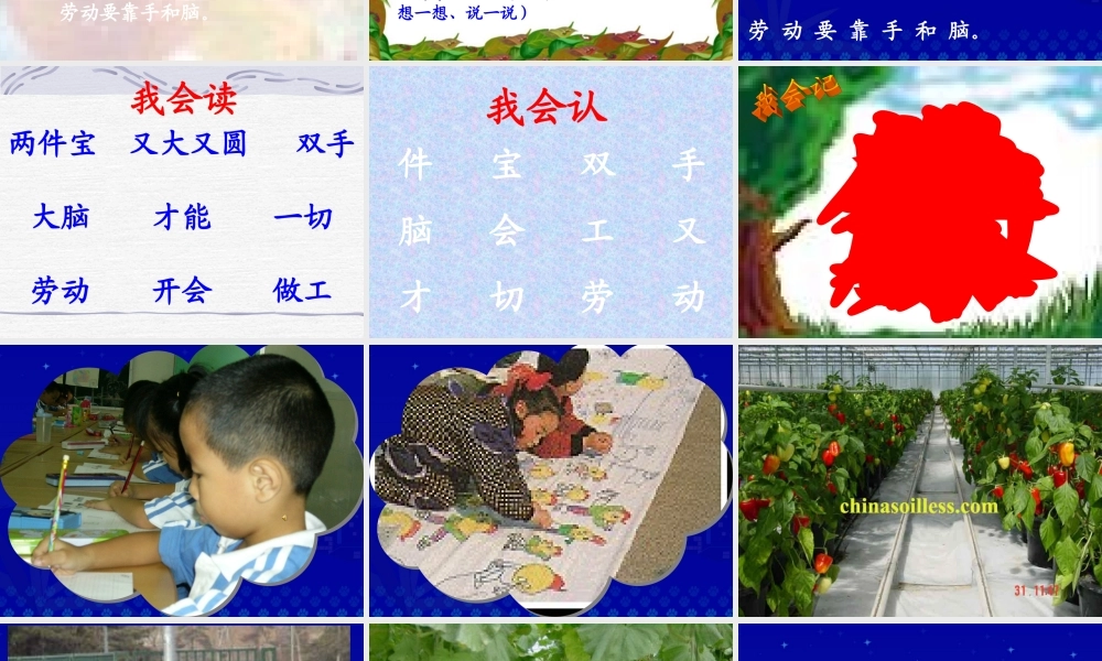 《两件宝》课件